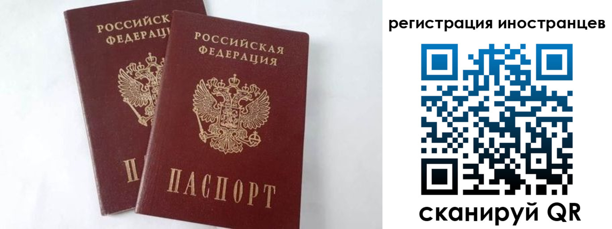 регистрация для школы в Борисоглебске